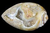 Chalcedony Replaced Gastropod With Druzy Quartz - India #128814-1
